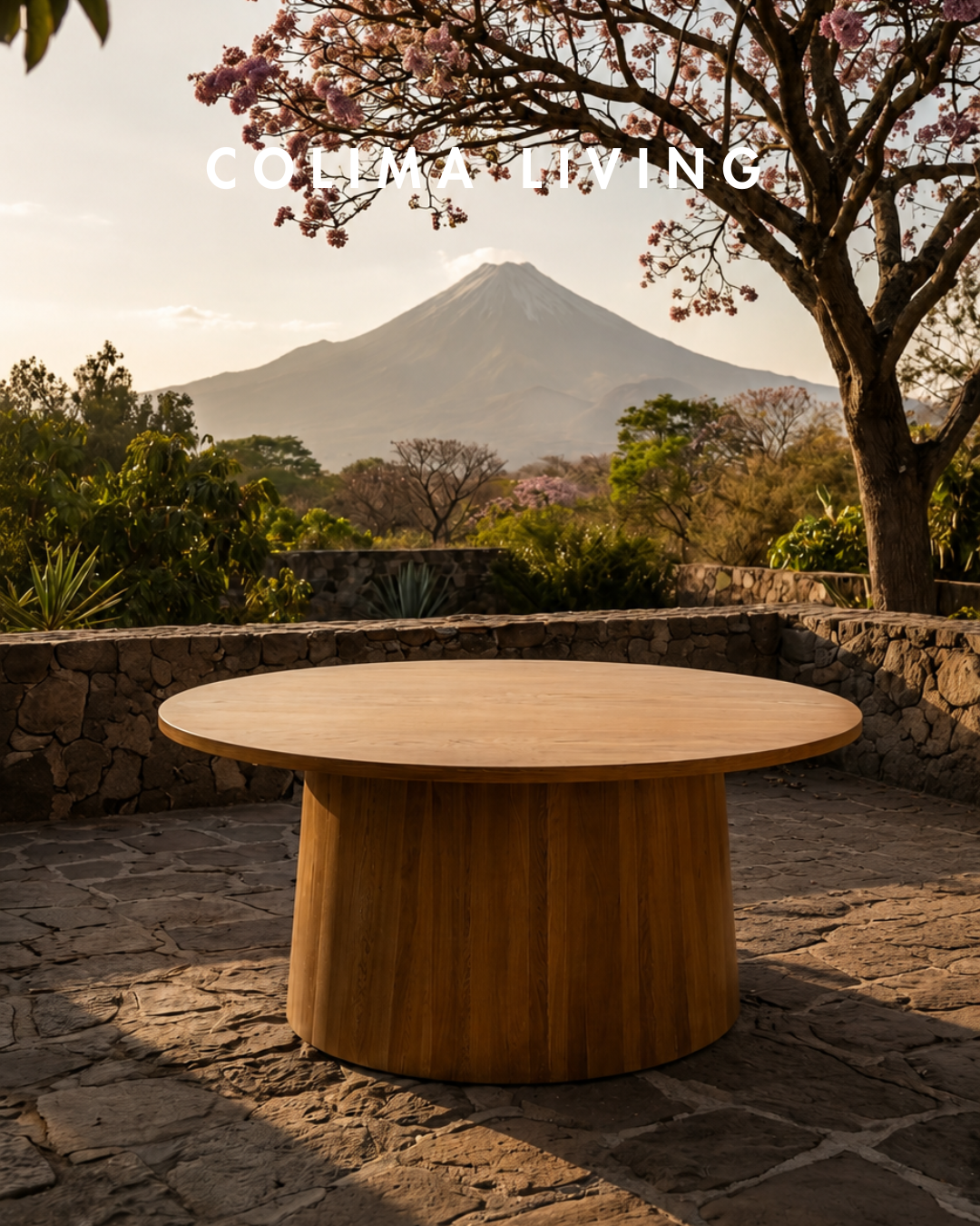 Mesa Volcán